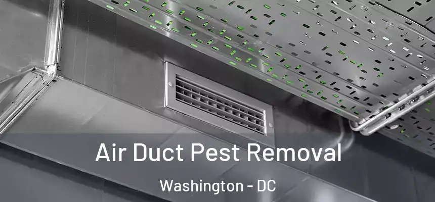 Air Duct Pest Removal Washington - DC