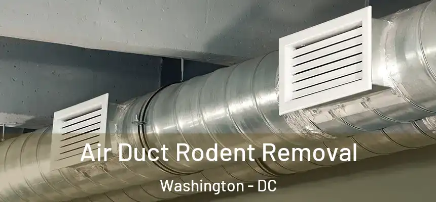 Air Duct Rodent Removal Washington - DC