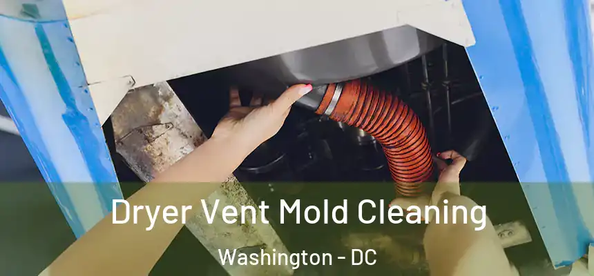 Dryer Vent Mold Cleaning Washington - DC