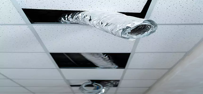 Our Air Duct Pet Hair Removal Services in Washington, DC