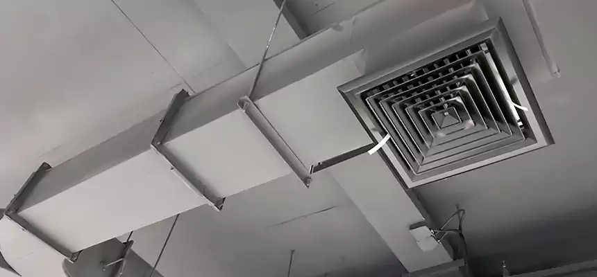 Restorative Allergy Relief Vent Cleaning – Coil, Blower & Housing Detail in Washington