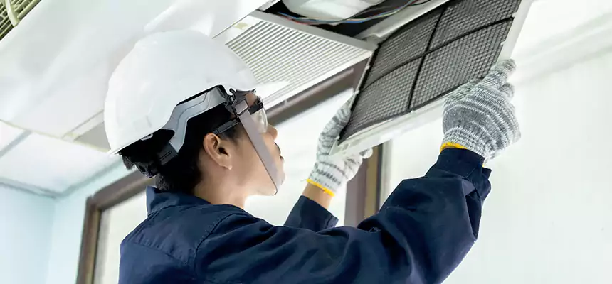 Our Mold & Mildew Removal from Air Ducts Services in Washington, DC