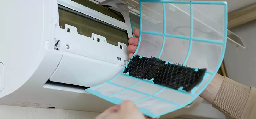 Gentle Ductwork Odor-Control Pet Dander Duct Cleaning in Washington, DC