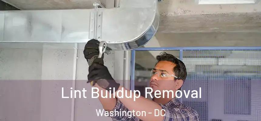Lint Buildup Removal Washington - DC