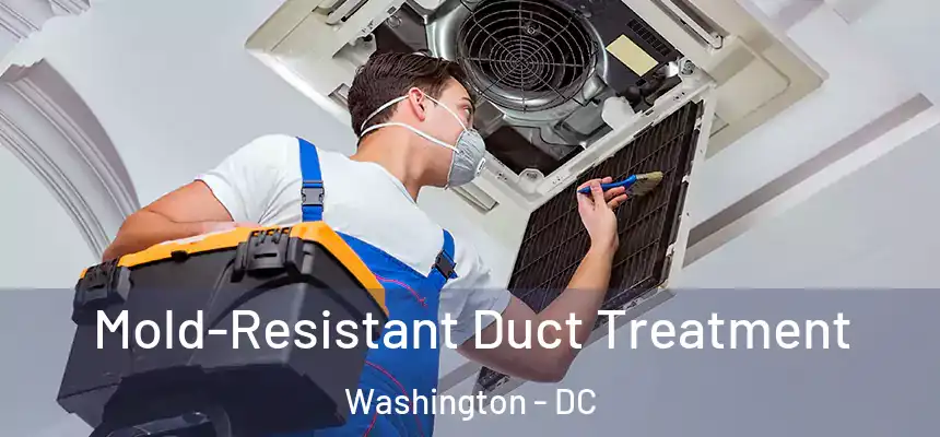 Mold-Resistant Duct Treatment Washington - DC