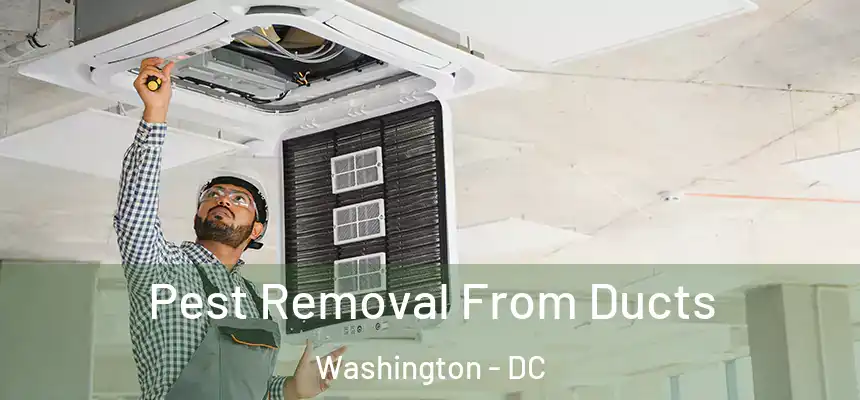 Pest Removal From Ducts Washington - DC