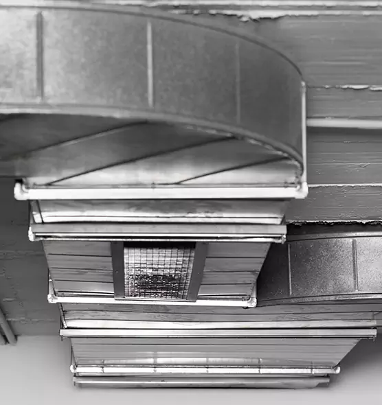 Professional Air Duct Pest Removal in Washington, DC