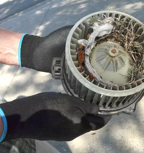 About Air Duct Rat Removal in Washington, DC