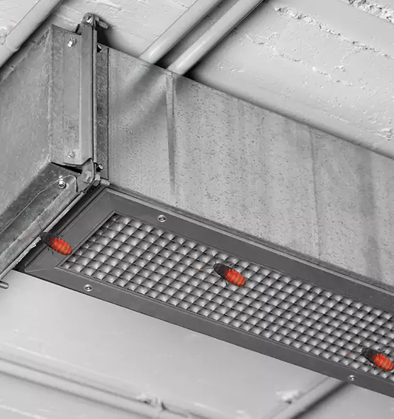 Affordable Insect Removal from Air Ducts in Washington, DC