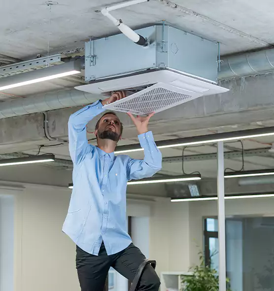 Advanced Rodent Droppings In Vents in Washington, DC