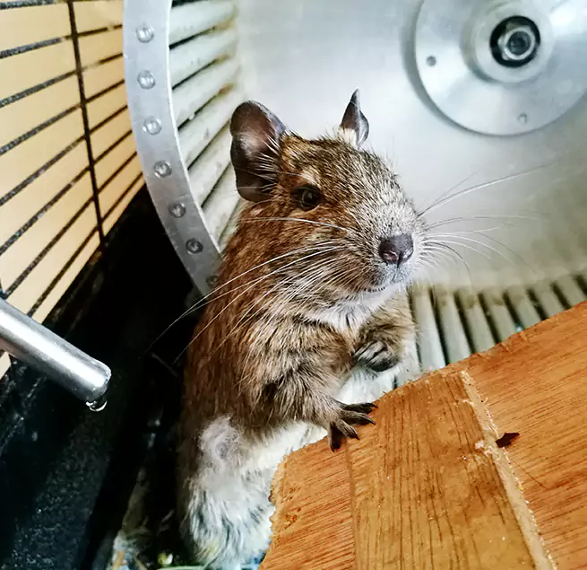 Why Homeowners & Businesses Trust Us Washington, DC