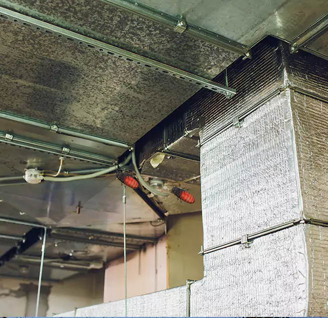 Why Homeowners & Businesses Trust Us Washington, DC?