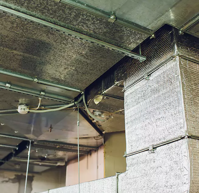 Why Homeowners & Businesses Trust Us in Washington, DC?